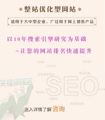 SEO优化网站